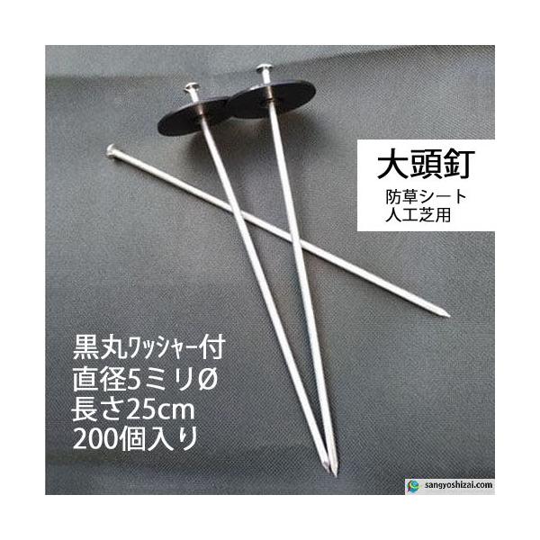 哪B ەt 25cm 5mm 200/CS ۓB s B fJs pbhZbg hV[g _pV[g V[g lH  K[fjO