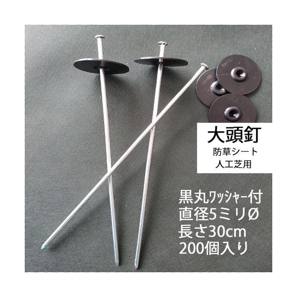 哪B ەt 30cm 5mm 200/CS ۓB s B fJs pbhZbg hV[g _pV[g V[g lH  K[fjO