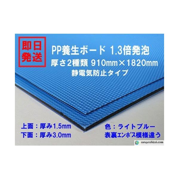 Pp養生ボード Pp3 0 厚3 0mm 910mm 1820mm 5枚入 Cs ブルー Yy 00003 カンノ商会 Yahoo 店 通販 Yahoo ショッピング