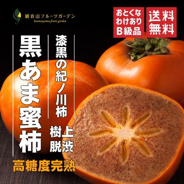 kannonyama_2kinokab8kg