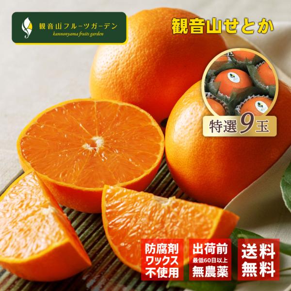 せとか(9kg)・特選 せとか 和歌山 特選 AAA級 9玉 観音山フルーツガーデン 送料無料