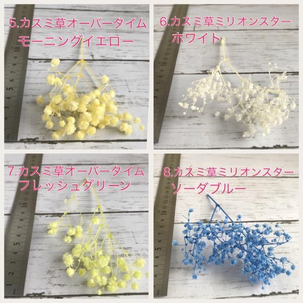 プリザーブド アジサイ かすみ草 オーバータイム ミリオンスター Www Vetrepro Fr