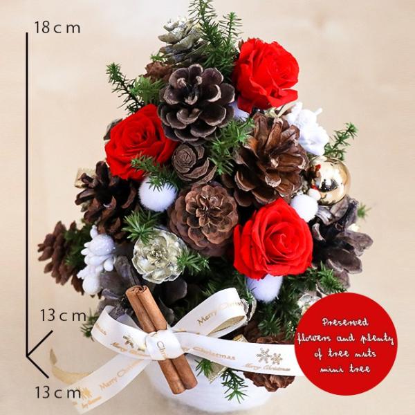 クリスマス Mini ツリー 卓上 プリザーブドフラワーと木の実たっぷり ツリー 可愛い 送料無料 ケース付き Buyee Buyee Japanese Proxy Service Buy From Japan Bot Online