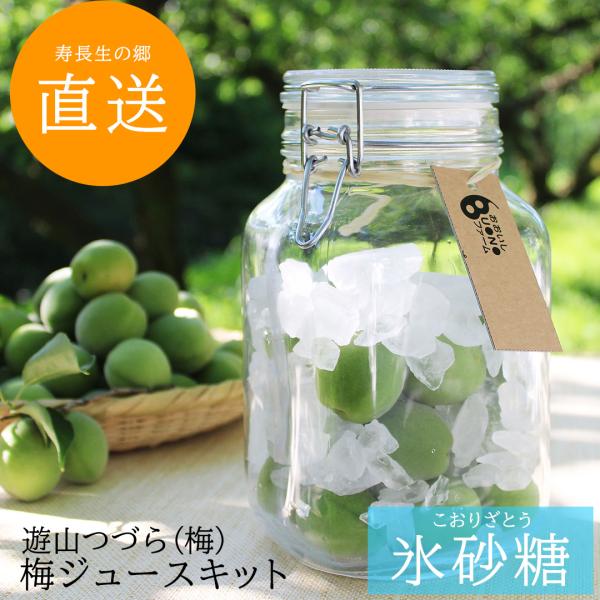 【2026予約販売】 梅ジュースキット（梅500g+氷砂糖つき）【遊山つづら（梅）氷砂糖】