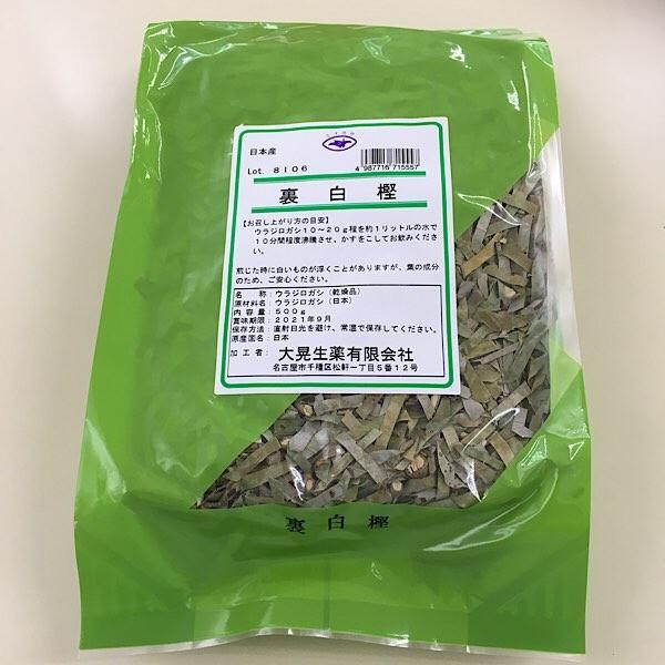ウラジロガシ/裏白樫/短冊切り/500g/大晃生薬】日本産/ウラジロガシ茶/流石茶/結石/尿路結石/うらじろがし/漢方茶/健康茶/国産 :u-12:漢方薬・生薬専門 草漢堂 - 通販 - Yahoo!ショッピング ウラジロガシ/裏白樫/短冊切り/500g/大晃生薬】日本産/ウラジロガシ茶/流石茶/結石/尿路結石/うらじろがし/漢方茶/健康茶/国産 :u-12:漢方薬・生薬専門 草漢堂 - 通販 - Yahoo!ショッピング