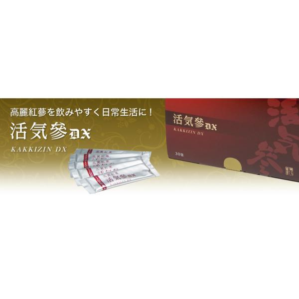 2箱セット】活気參DX（カッキジン）高麗人参 紅参 茶 40包×2