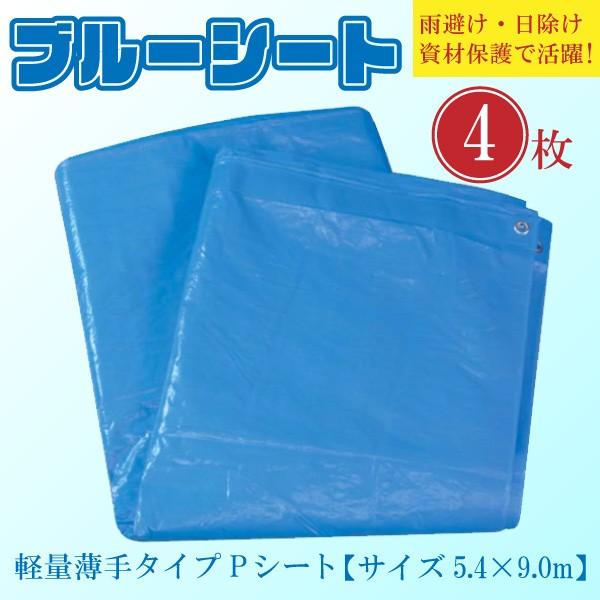 y4Zbgzyʃu[V[g 5.4m×9.0m ^Cv {V[g