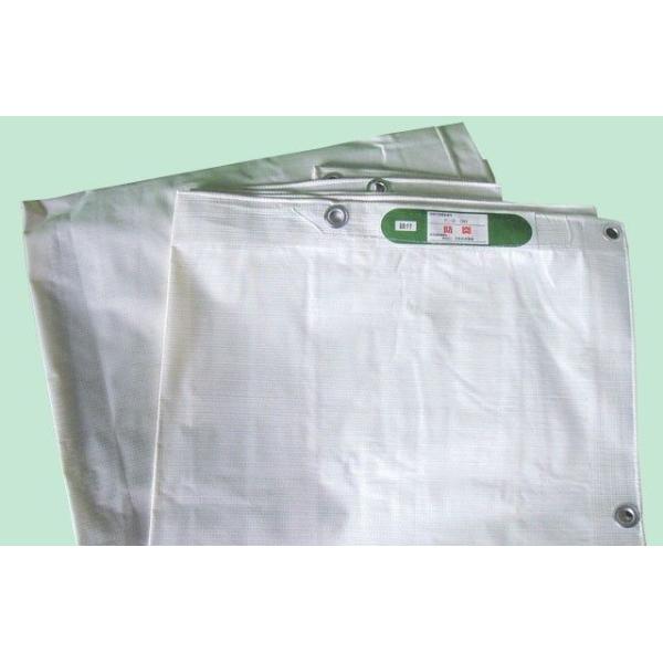 ���p�r�I���h���V�[�g 7.2m×7.2m ���z�E�C�x���g�p