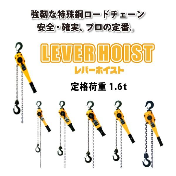 レバーホイスト チェーンブロック ラチェット 鋼板製 定格荷重1 6t 荷締め ベルト トラック 牽引 吊り下げ 玉掛 ロード チェーン フック 手動 Nt 16lpy2 環流ドットコム 通販 Yahoo ショッピング