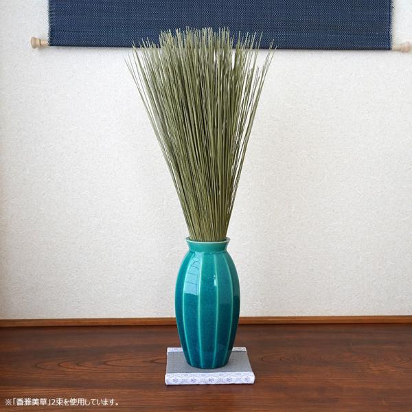 すっぴんい草 『香雅美草（かがみそう）』 熊本県産 無着色いぐさ 消臭