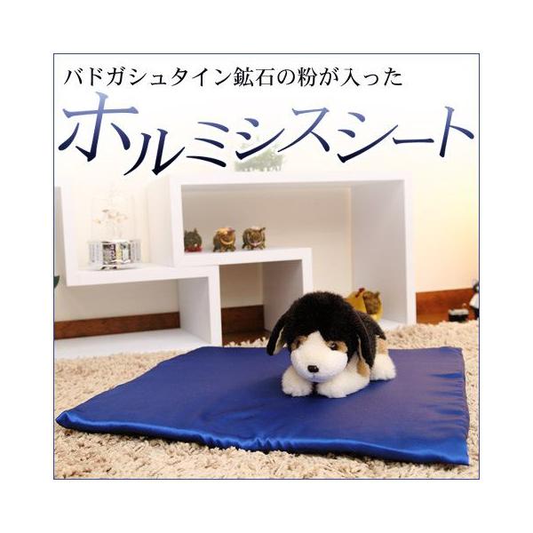 【早いもの勝ち】ホルミシス高濃度ラジウムシート ホルミシスシート スーパー10 玉川温泉 岩盤浴 最高放射線量の