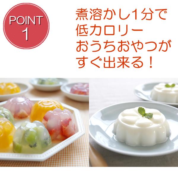 寒天粉寒天300g ネコポス発送送料無料サービス/【Buyee】 寒天粉寒天300g ネコポス発送送料無料サービス/【Buyee】