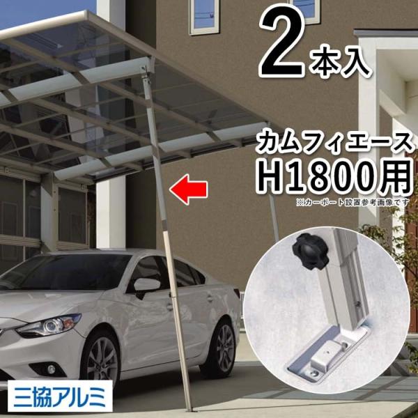 J[|[g T|[g J[|[g ⏕ E E 2{ JtBG[X H1800p OA~ J[|[gp 䕗 ΍    t DIY PJRS