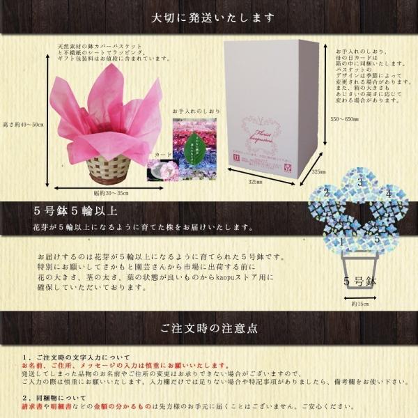 ドリップブルー 母の日 達人のあじさい さかもと園芸 プレゼント アジサイ 鉢植え 鉢花 Buyee Buyee Japanese Proxy Service Buy From Japan Bot Online