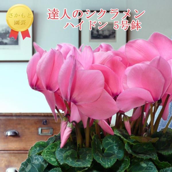 y11甭zBl̃VN@pXenCh@_ѐYb܎܁@Ɖ|@Ε@Mtg@