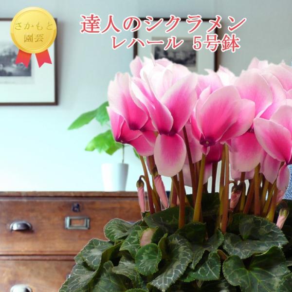 y11甭zBl̃VN@pXen[@_ѐYb܎܁@Ɖ|@Ε@Mtg@