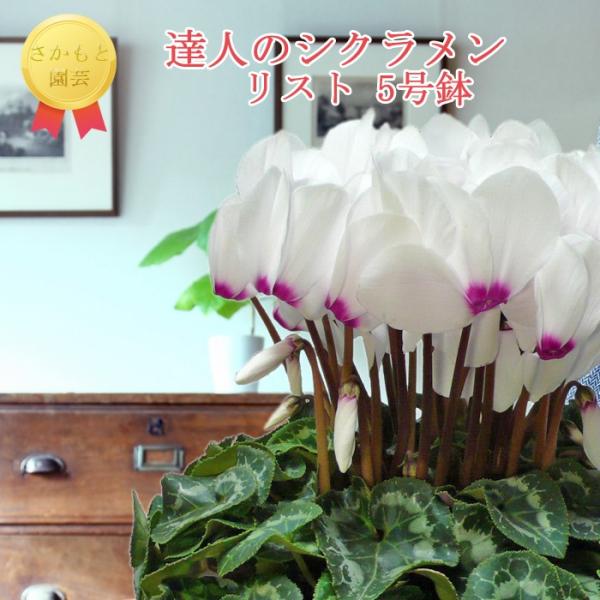 y11甭zBl̃VN@pXeXg@_ѐYb܎܁@Ɖ|@Ε@Mtg@