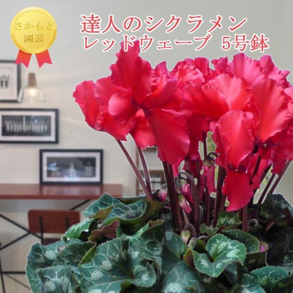 y11甭zVN@EF[ubh@_ѐYb܎܁@Ɖ|@Ε@Mtg@