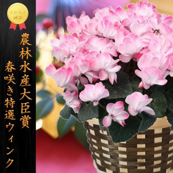 y11甭zVN EBNV[bh _ѐYb܎ Ɖ| Ε Mtg 