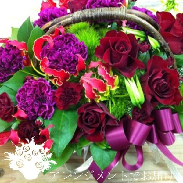 oƃJ[l[Vy019zyt[Xg@^zԃAWg@a@\@j@ԑ@̓