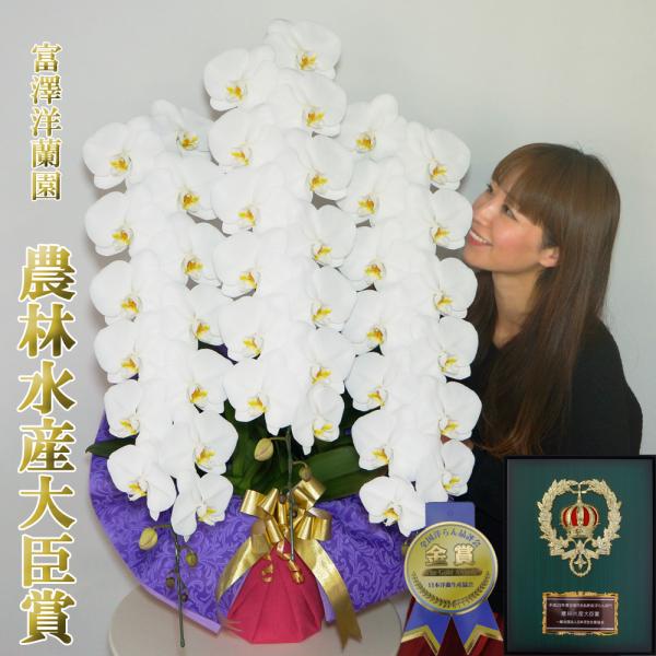 Ӓ@xVm@ց@3{@48ֈȏ(Q܂)@Mtg@v[g@j@݁@ԁ@A@t[@@I@j