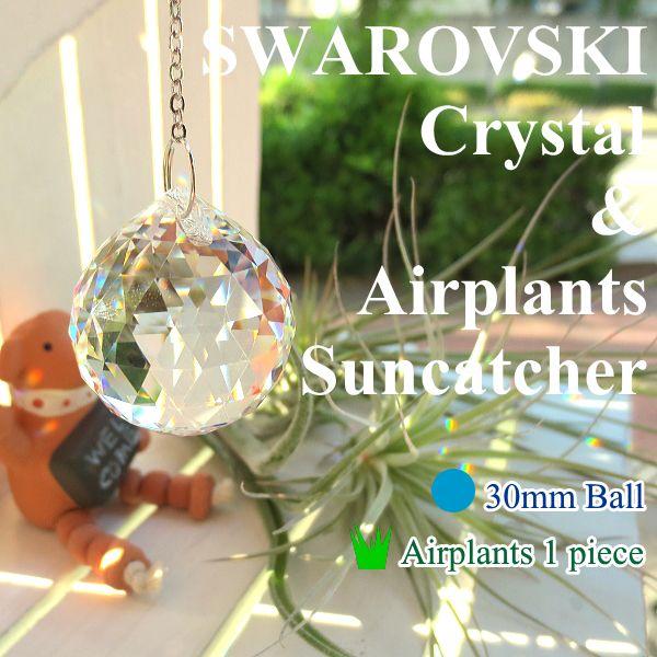 スワロフスキー クリスタルとエアープランツのサンキャッチャー 30mm Ball Crystal エアプランツ1種 インテリア 北欧 雑貨 風水 エアプランツ プレゼント Suncatcher 03 薫る花 通販 Yahoo ショッピング