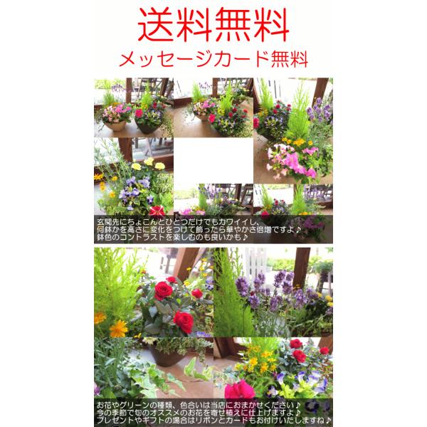 季節のおまかせ寄せ植え テラコッタ風オーバル形樹脂鉢植え 鉢色選べる 送料無料 薫る花 花苗 セット ベランダ 玄関 ガーデニング 寄せ鉢 Buyee Buyee 提供一站式最全面最專業現地yahoo Japan拍賣代bid代拍代購服務 Bot Online