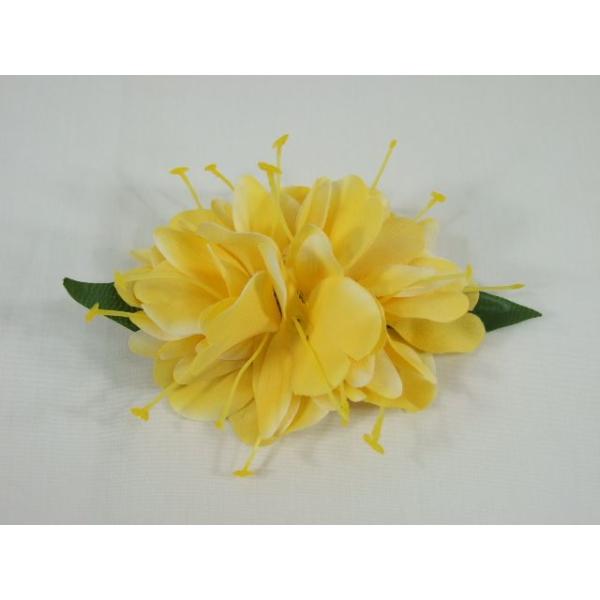 �t���_���X �J�q���W���W���[�E�C�G���[ �w�A�[�N���b�v�@(�i��HP224)