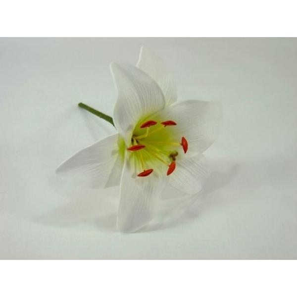 ^tH[[sbN zCg  (iTF64)