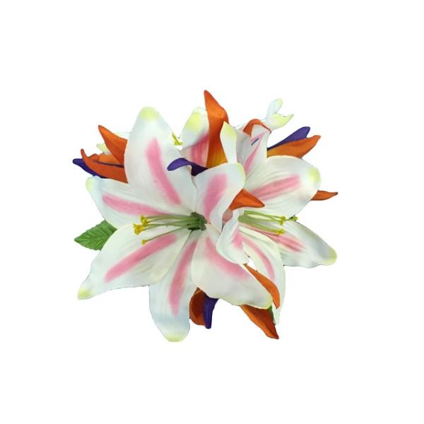 t_X o[hIup_CXsN[wA[Nbv HP260