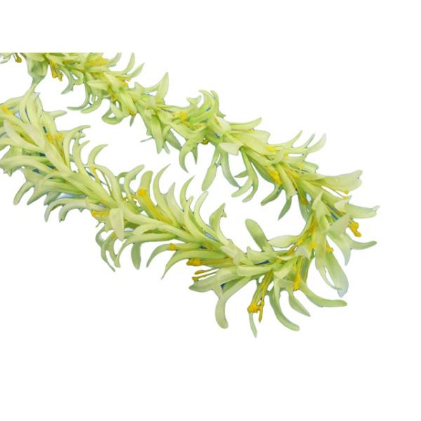 t_X XpC_[[OC O[ FL279