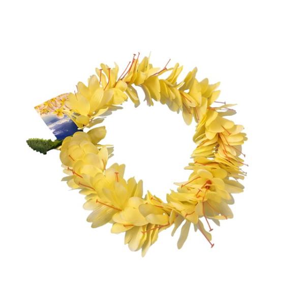 t_X  NEWJqWW[nN(wbhoh) CG[2 FH119