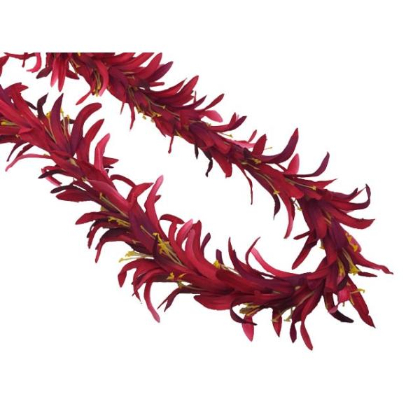 t_X@XpC_[[OC@bh@ FL377