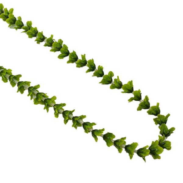 【特価】Kapaliliパカラナロングレイ グリーン150cm/FLKP515B