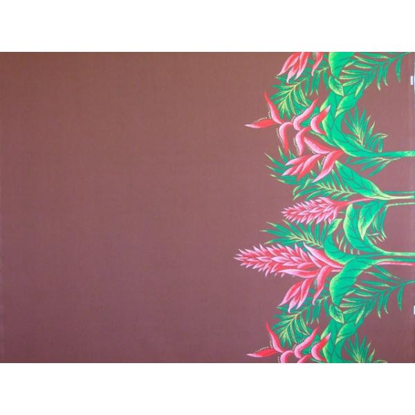 nCAt@ubN ȃ|  wRjA uE HFN595