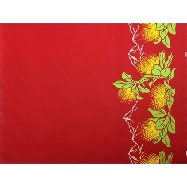 nCAt@ubN ȃ|  tA bh HFR787