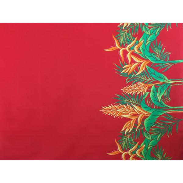 nCAt@ubN ȃ|  wRjA bh@iHFR793