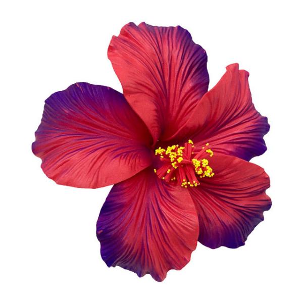 素材 ■ウレタン  サイズ ■約16.5cm  商品について ■入荷時期で色が変わったりもします。御了承下さい。■花の部分を引っ張りますとクリップから抜けてしまう事がございますので付け外しの際は本体部分をしっかりお持ちください。  在庫につ...