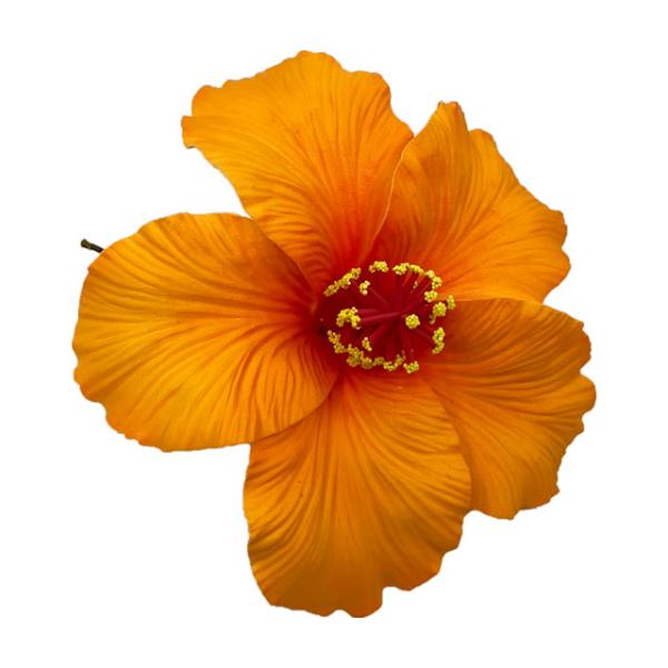 素材 ■ウレタン  サイズ ■約16.5cm  商品について ■入荷時期で色が変わったりもします。御了承下さい。 在庫について ■本店でも販売しております。■在庫数は確認しておりますが売り切れてしまう場合もございます。■その際は改めてご連絡...