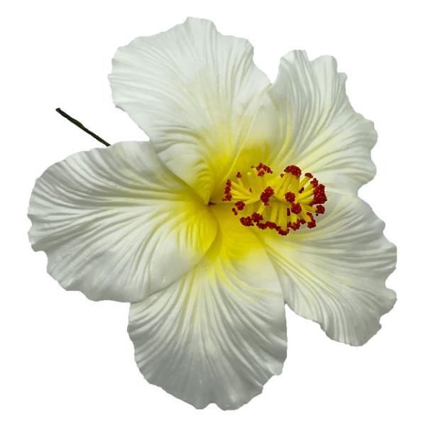 素材 ■ウレタン  サイズ ■約16.5cm  商品について ■入荷時期で色が変わったりもします。御了承下さい。 在庫について ■本店でも販売しております。■在庫数は確認しておりますが売り切れてしまう場合もございます。■その際は改めてご連絡...