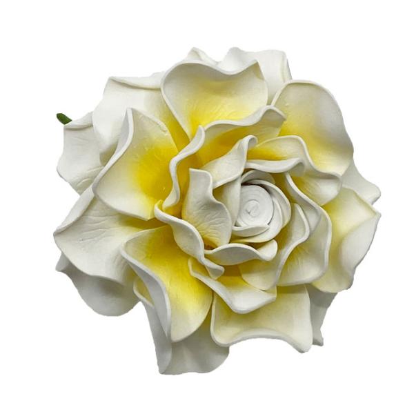 素材 ■ウレタン  サイズ ■約12cm  商品について ■入荷時期で色が変わったりもします。御了承下さい。 在庫について ■本店でも販売しております。■在庫数は確認しておりますが売り切れてしまう場合もございます。■その際は改めてご連絡いた...