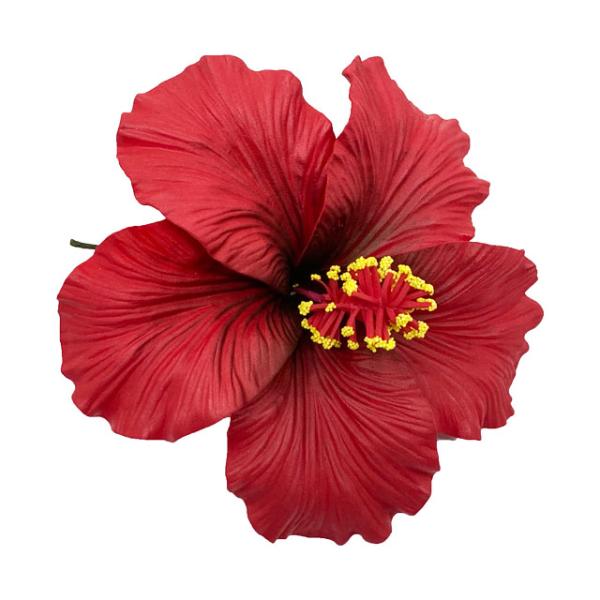 素材 ■ウレタン  サイズ ■約16.5cm  商品について ■入荷時期で色が変わったりもします。御了承下さい。 在庫について ■本店でも販売しております。■在庫数は確認しておりますが売り切れてしまう場合もございます。■その際は改めてご連絡...