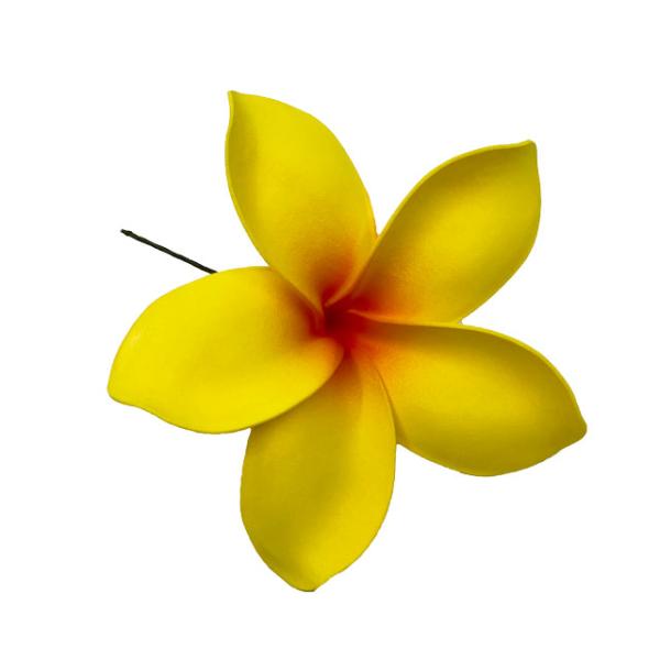 素材 ■ウレタン  サイズ ■約14cm  商品について ■入荷時期で色が変わったりもします。御了承下さい。 在庫について ■本店でも販売しております。■在庫数は確認しておりますが売り切れてしまう場合もございます。■その際は改めてご連絡いた...