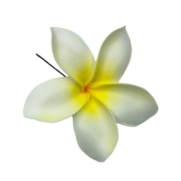 素材 ■ウレタン  サイズ ■約14cm  商品について ■入荷時期で色が変わったりもします。御了承下さい。 在庫について ■本店でも販売しております。■在庫数は確認しておりますが売り切れてしまう場合もございます。■その際は改めてご連絡いた...