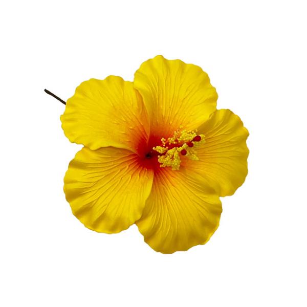 素材 ■ウレタン  サイズ ■約11cm  商品について ■入荷時期で色が変わったりもします。御了承下さい。 在庫について ■本店でも販売しております。■在庫数は確認しておりますが売り切れてしまう場合もございます。■その際は改めてご連絡いた...