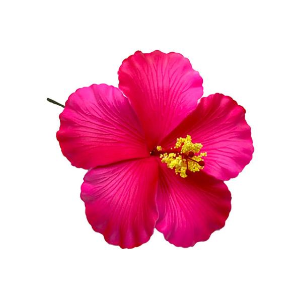 素材 ■ウレタン  サイズ ■約11cm  商品について ■入荷時期で色が変わったりもします。御了承下さい。 在庫について ■本店でも販売しております。■在庫数は確認しておりますが売り切れてしまう場合もございます。■その際は改めてご連絡いた...