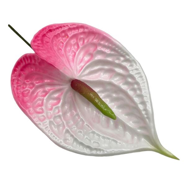 素材 ■ウレタン  サイズ ■約17cm  商品について ■入荷時期で色が変わったりもします。御了承下さい。 在庫について ■本店でも販売しております。■在庫数は確認しておりますが売り切れてしまう場合もございます。■その際は改めてご連絡いた...