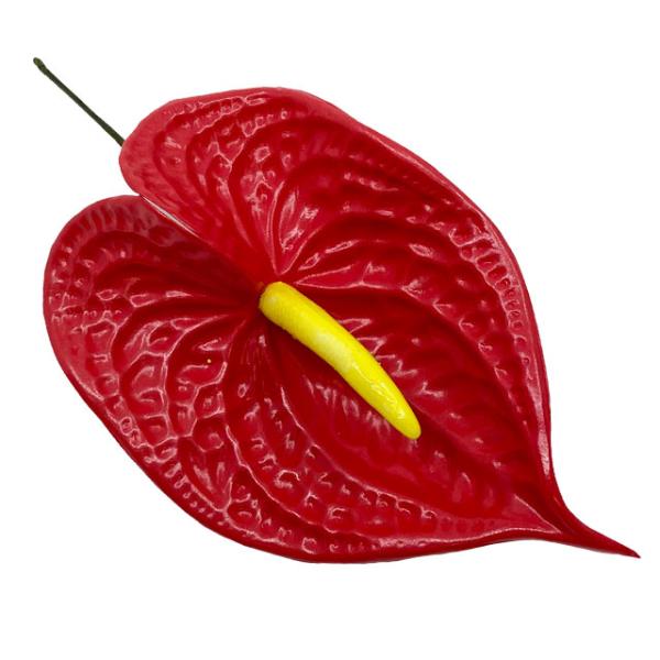 素材 ■ウレタン  サイズ ■約17cm  商品について ■入荷時期で色が変わったりもします。御了承下さい。 在庫について ■本店でも販売しております。■在庫数は確認しておりますが売り切れてしまう場合もございます。■その際は改めてご連絡いた...