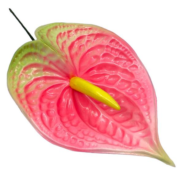 素材 ■ウレタン  サイズ ■約17cm  商品について ■入荷時期で色が変わったりもします。御了承下さい。 在庫について ■本店でも販売しております。■在庫数は確認しておりますが売り切れてしまう場合もございます。■その際は改めてご連絡いた...