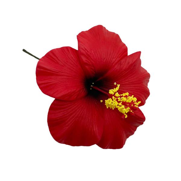 素材 ■ウレタン  サイズ ■約11cm  商品について ■入荷時期で色が変わったりもします。御了承下さい。 在庫について ■本店でも販売しております。■在庫数は確認しておりますが売り切れてしまう場合もございます。■その際は改めてご連絡いた...